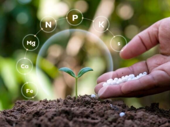 Rising Fertilizer Demand and Domestic Production Growth Worldwide