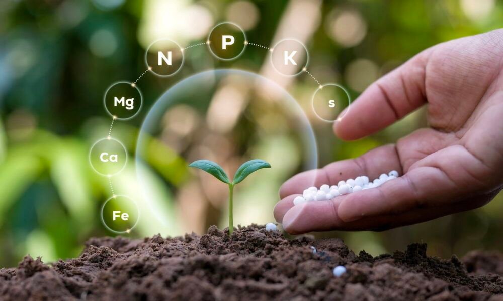 Rising Fertilizer Demand and Domestic Production Growth Worldwide